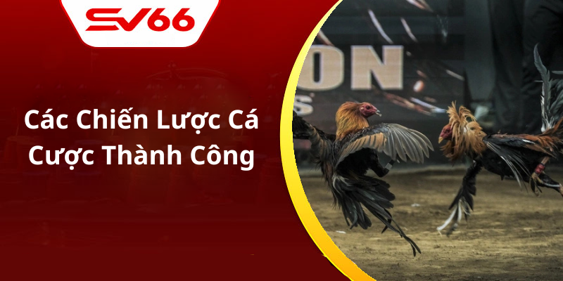 Các Chiến Lược Cá Cược Thành Công