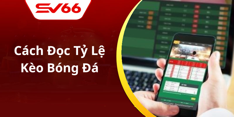 Chiến Lược Cá Cược Hiệu Quả Tại Nhà Cái VS66