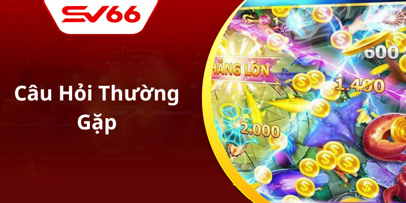 Câu Hỏi Thường Gặp