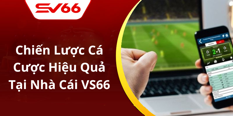 Chiến Lược Cá Cược Hiệu Quả Tại Nhà Cái VS66