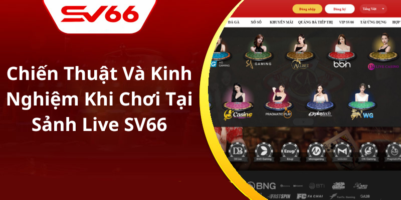 Chiến Thuật Và Kinh Nghiệm Khi Chơi Tại Sảnh Live SV66