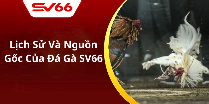 Lịch Sử Và Nguồn Gốc Của Đá Gà SV66