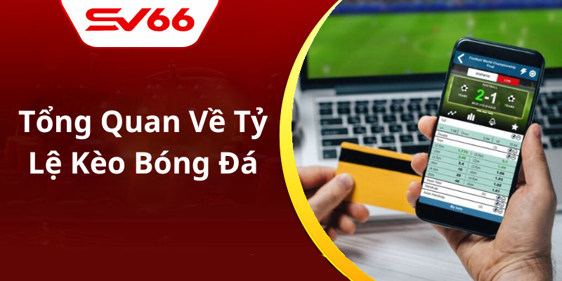 Tổng Quan Về Tỷ Lệ Kèo Bóng Đá