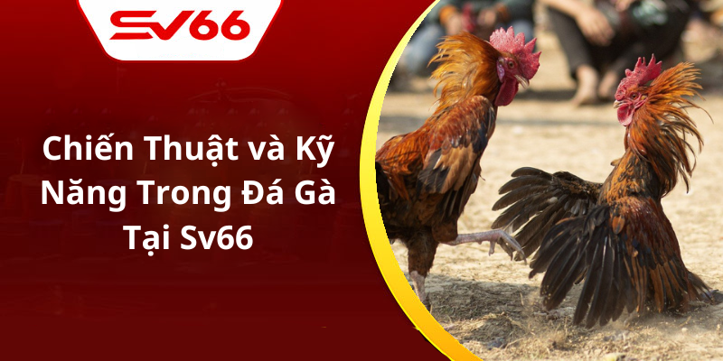 Chiến Thuật và Kỹ Năng Trong Đá Gà Tại Sv66