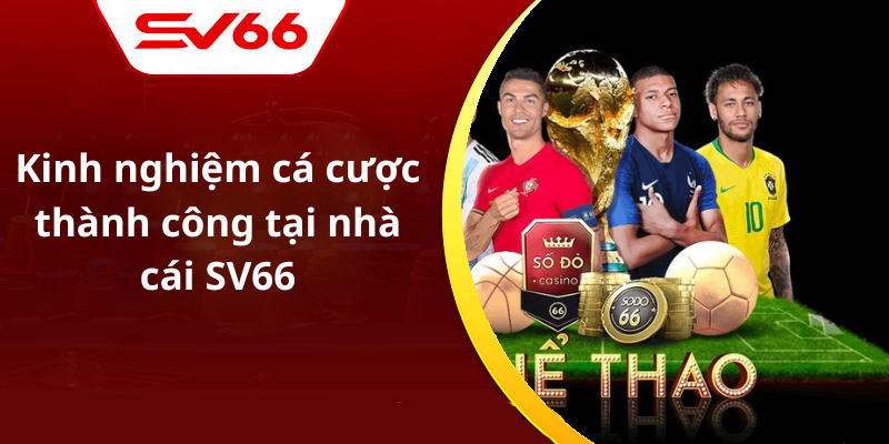 Kinh nghiệm cá cược thành công tại nhà cái SV66