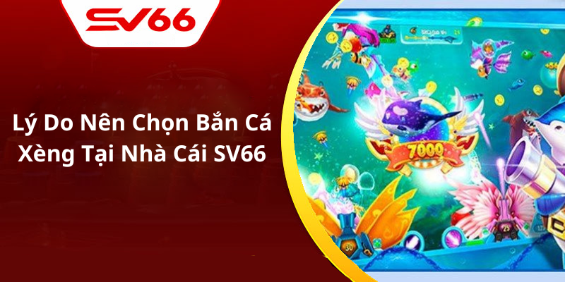 Lý Do Nên Chọn Bắn Cá Xèng Tại Nhà Cái SV66