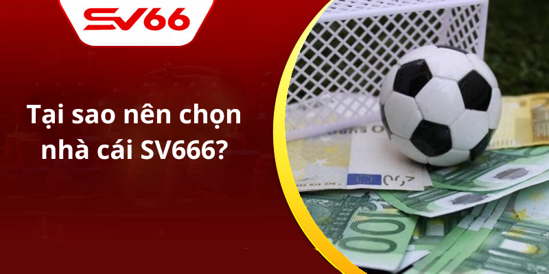 Tại sao nên chọn nhà cái SV666