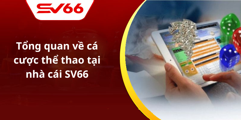 Tổng quan về cá cược thể thao tại nhà cái SV66