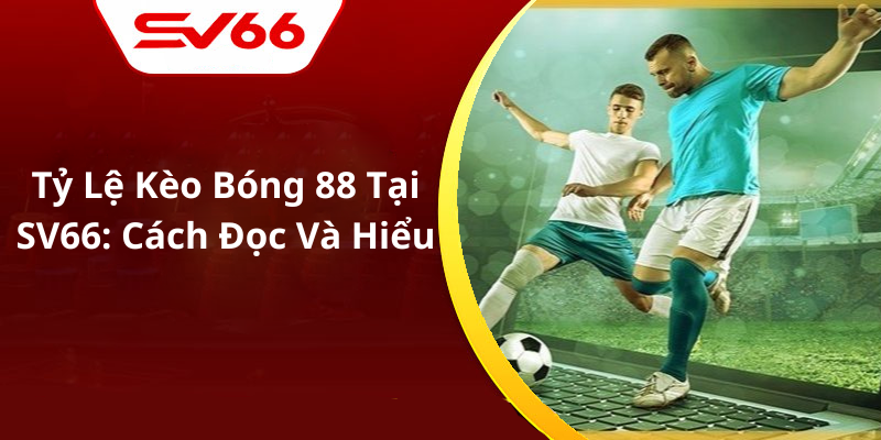 Tỷ Lệ Kèo Bóng 88 Tại SV66 Cách Đọc Và Hiểu