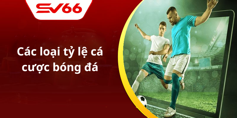 Các loại tỷ lệ cá cược bóng đá