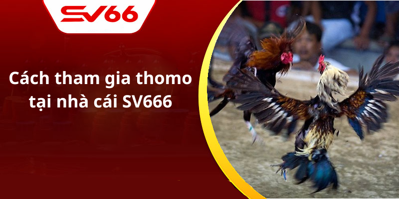 Cách tham gia thomo tại nhà cái SV666