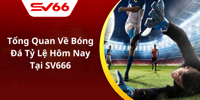 Tổng Quan Về Bóng Đá Tỷ Lệ Hôm Nay Tại SV666