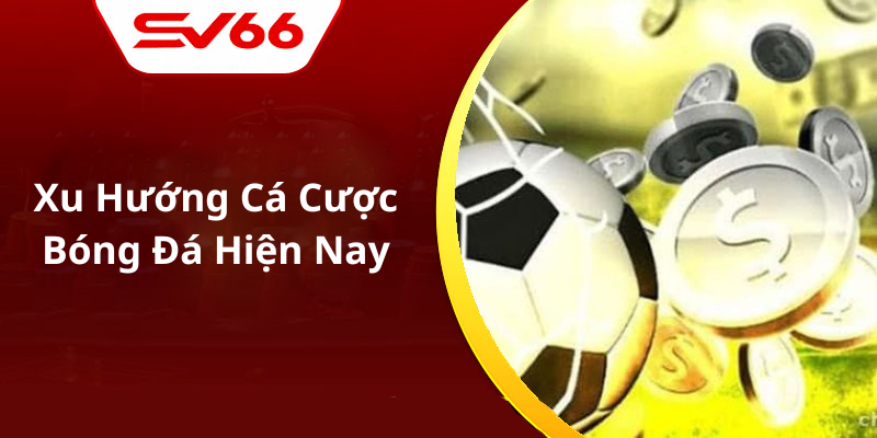 Xu Hướng Cá Cược Bóng Đá Hiện Nay